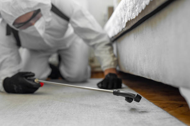 Professional Bed Bug Control technician working in New Baltimore, VA