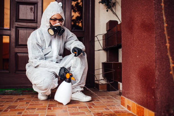 Reliable Bed Bug Control contractor in New Baltimore, VA by Nex Pest Control