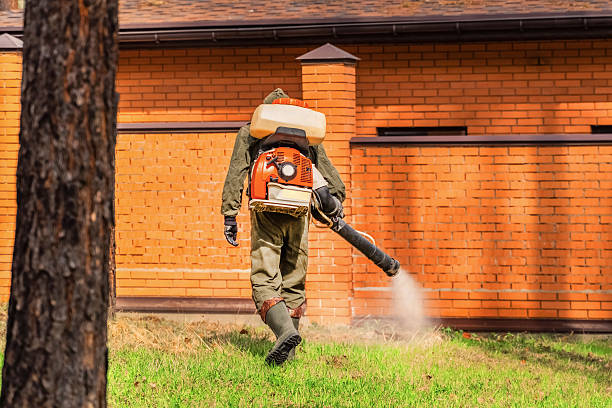 Trusted Cockroach Control service in New Baltimore, VA - Nex Pest Control